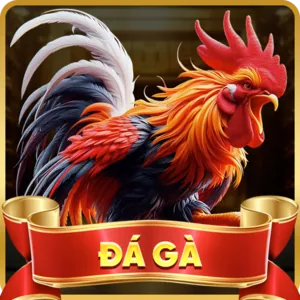 Cá cược Đá Gà
